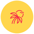 Sunnybikinis Style & Fit Team avatar